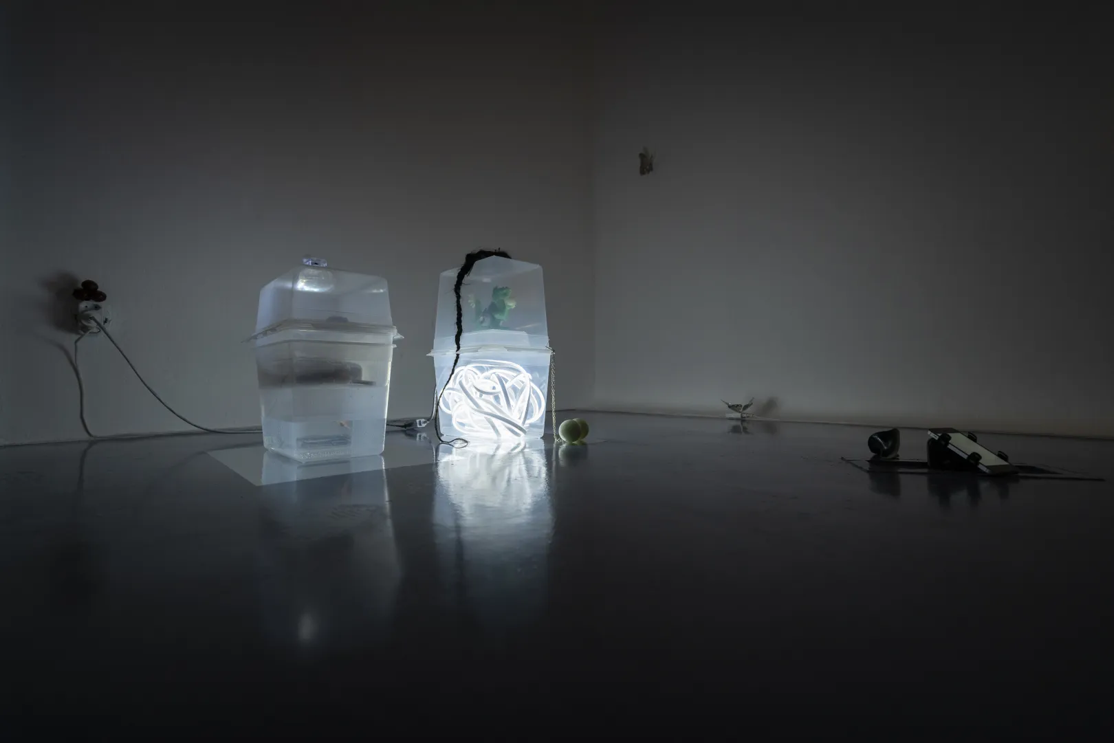 VARIOUS OTHERS – Contemporary Art Munich - Interview Rosa Stern Space